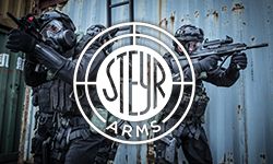 Photo Steyr Arms