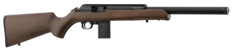 CHIAPPA Carabine Bushranger 18.5'' 22LR