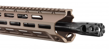 Photo DB522-03.jpg DIAMONDBACK DB15 OBSIDIAN 16'' cal. 223 Rem - FDE