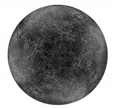 MD0414-2 5 cartouches Defend-Ball cal. 12/67 à balle Elastomere Bior Photo MD0414-2 5 cartouches Defend-Ball cal. 12/67 à balle Elastomere Bior