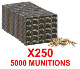 Photo PCKMR1045C PACK 5000 ATS X-Force ammunition caliber 5.56x45 mm FMJ 55 gr