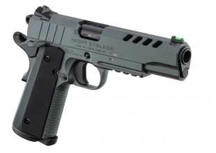 Photo TS126-05.jpg TISAS ZIG PC 1911 Night Stalker 5'' Pistol