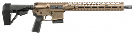 Photo WT105DE-24.jpg AR15 WATCHTOWER TYPE 15M 14.5'' 5.56x45 mm FDE