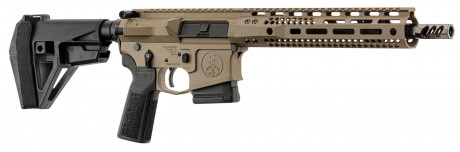 Photo WT160DE-17.jpg AR15 WATCHTOWER TYPE 15 SPEC OPS 10.5'' cal 5.56x45 - FDE