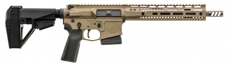 Photo WT160DE-24.jpg AR15 WATCHTOWER TYPE 15 SPEC OPS 10.5'' cal 5.56x45 - FDE